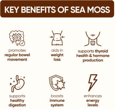 BGV Organic Sea Moss